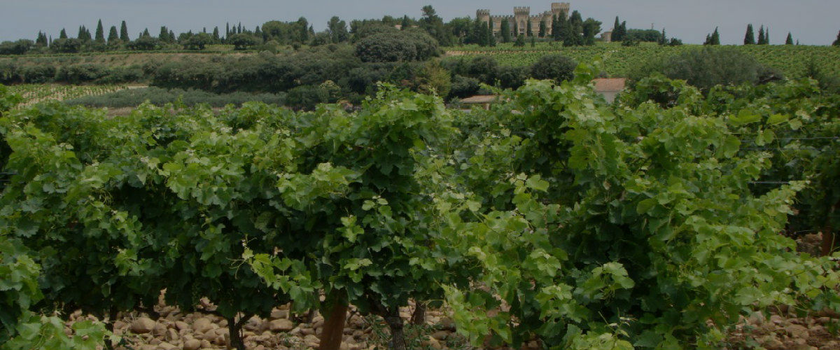 Wine Image